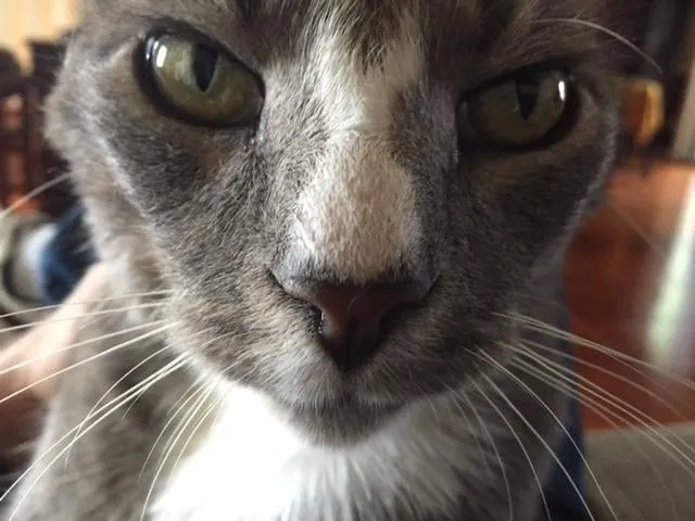 Slide of Air Comfort Solutions