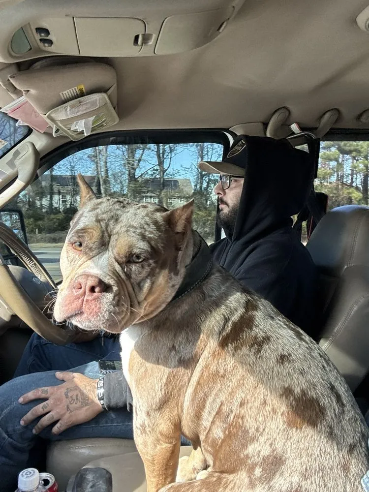 Slide of Air Concept Solutions