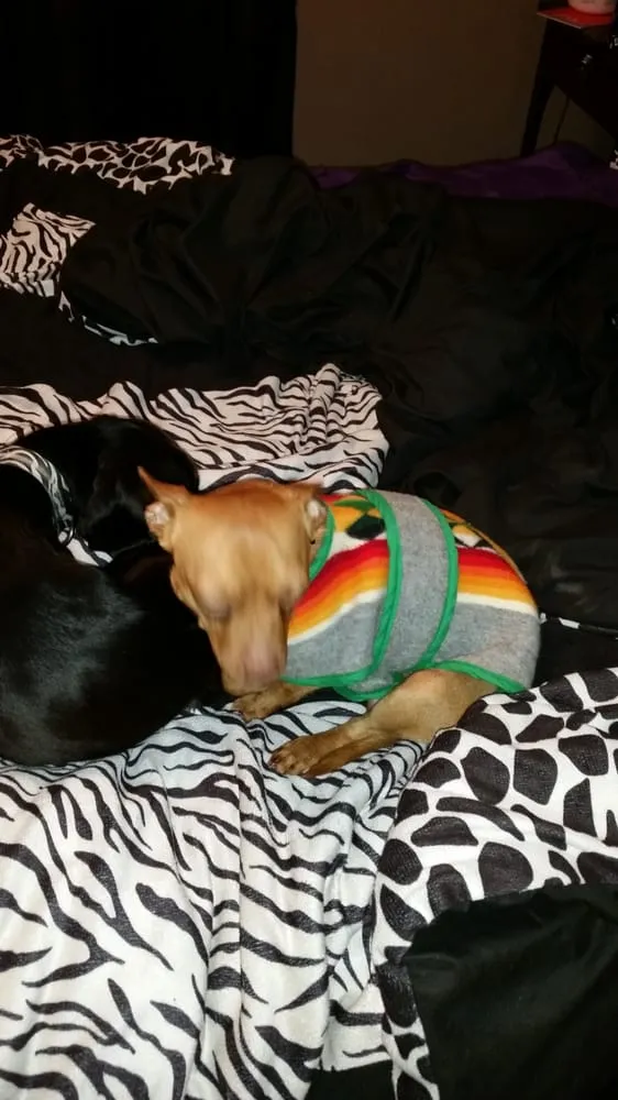 Slide of Air Controls Mechanical