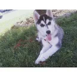 Slide of Air Design Services