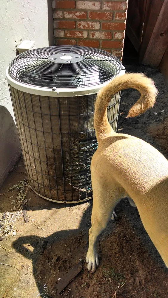 Slide of Air Doctors