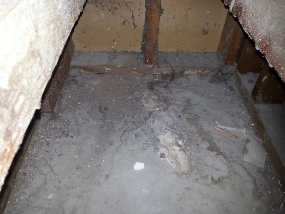 Slide of Air Ducks Duct Cleaning