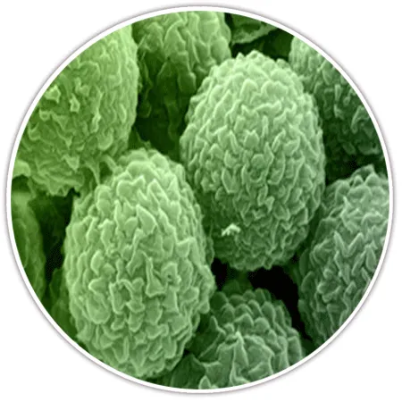 Slide of Air Duct & Dryer Vent Cleaning