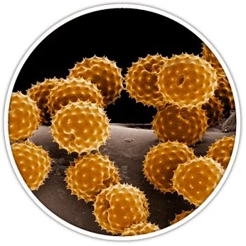 Slide of Air Duct & Dryer Vent Cleaning Dix Hills