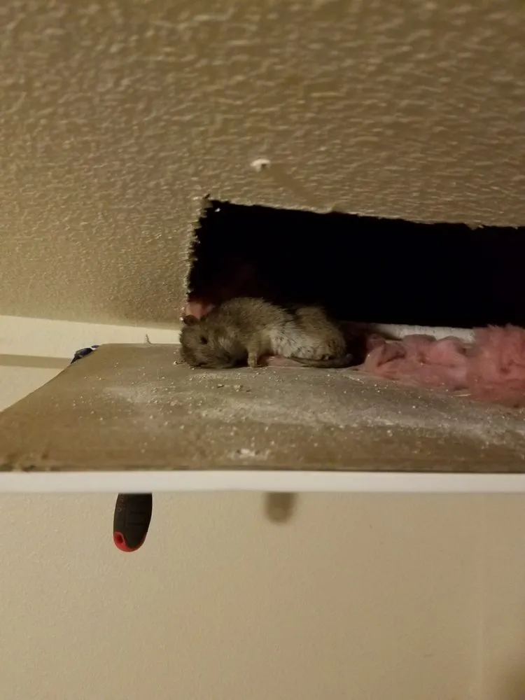 Slide of Air Duct Doc