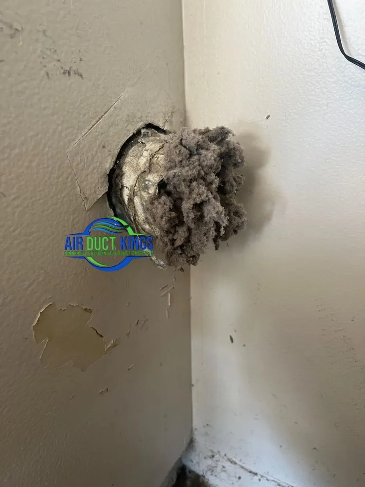 Slide of Air Duct Kings