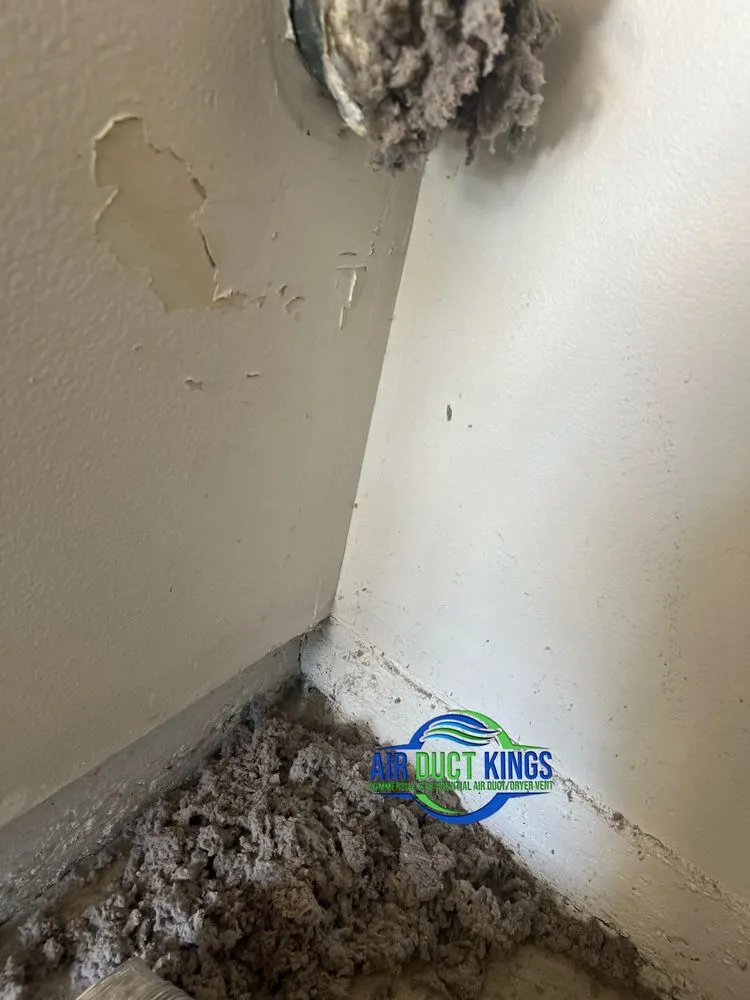 Slide of Air Duct Kings