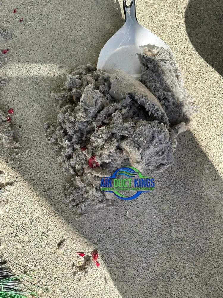 Slide of Air Duct Kings