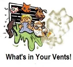 Slide of Air Duct Professionals