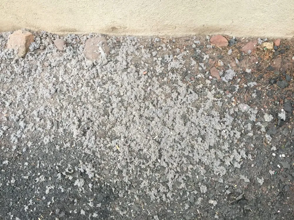 Slide of Air Duct Professionals