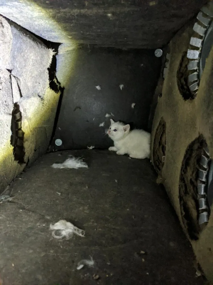 Slide of Air Essentials