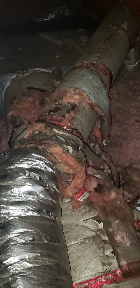 Slide of Air Force One Mechanical