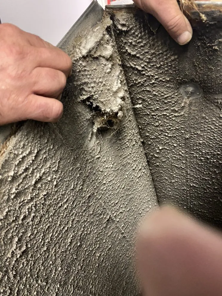 Slide of Air Force One