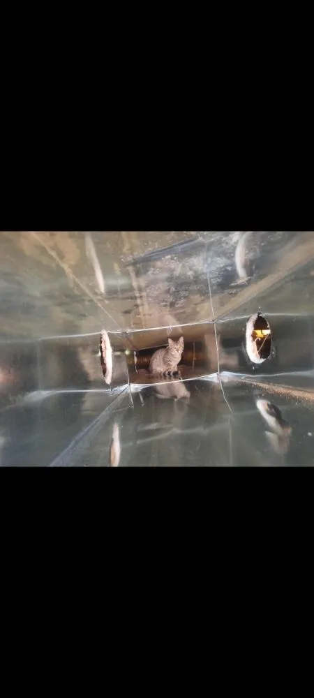 Slide of Air Gators Heating And Cooling