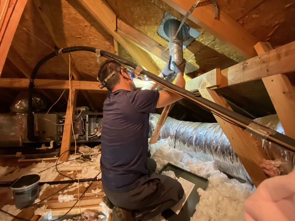 Slide of Air Lucky Puppy