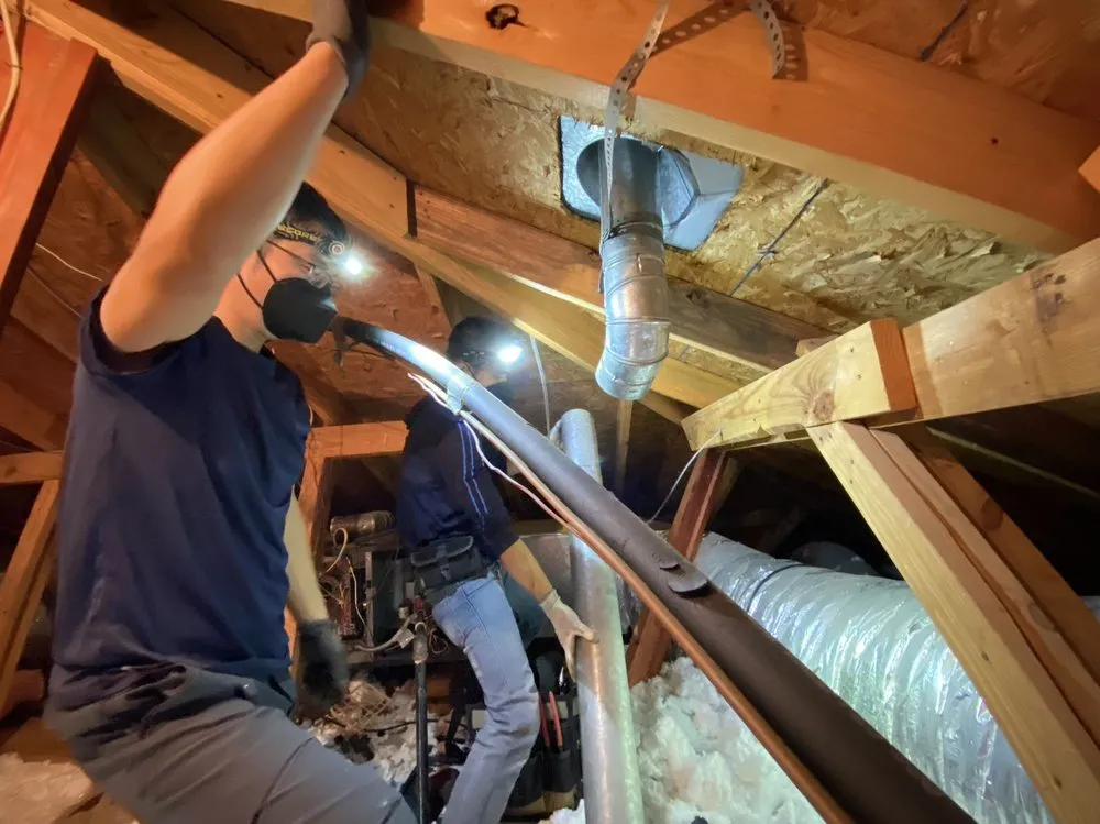 Slide of Air Lucky Puppy