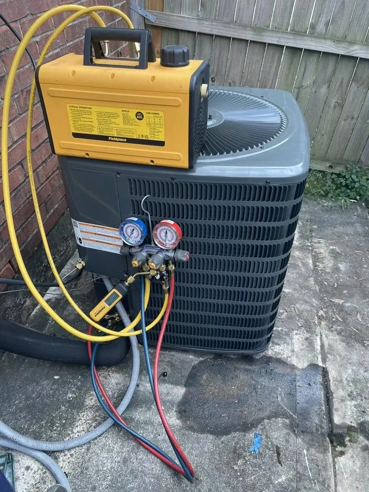 Slide of Air Lucky Puppy