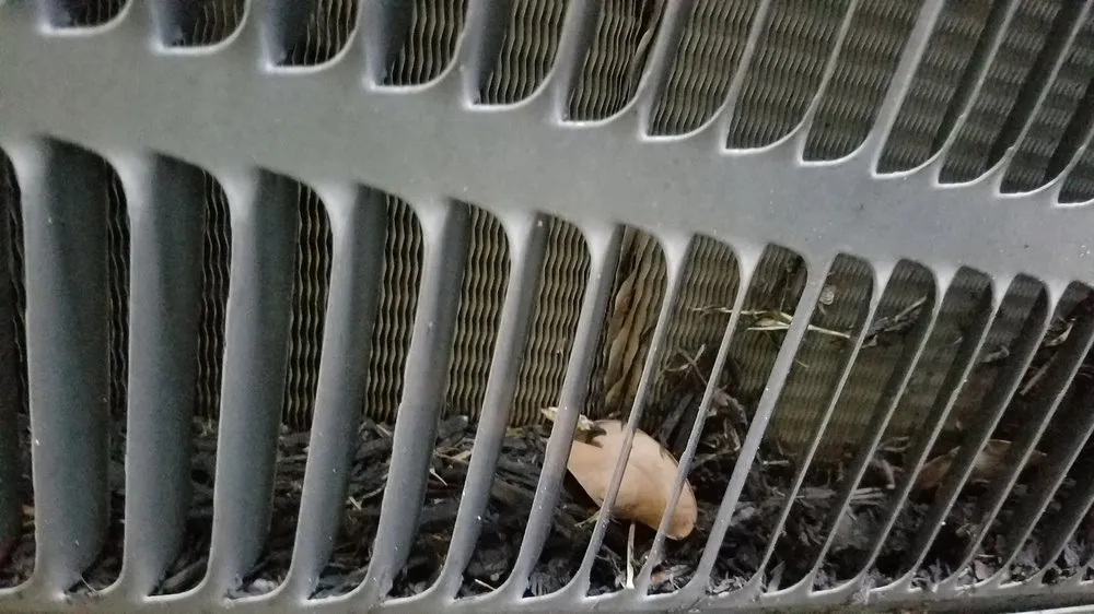 Slide of Air Majesty A/C & Heating