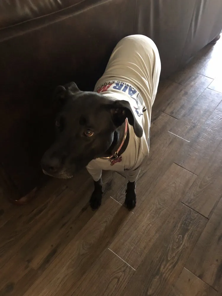 Slide of Air Max Heating & Cooling