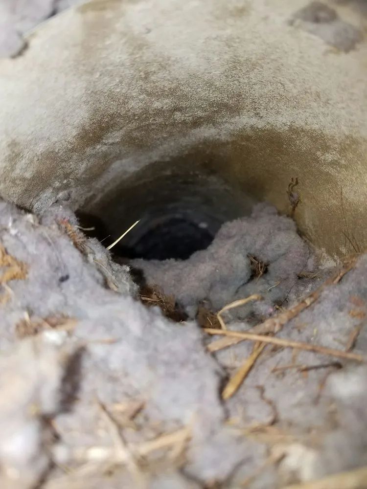 Slide of Air of America