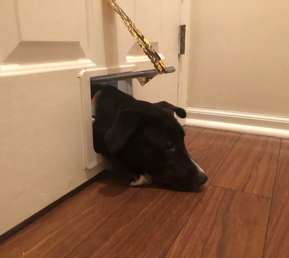 Slide of Air Professionals Heating & Air Conditioning