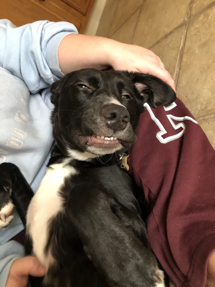 Slide of Air Professionals Heating & Air Conditioning