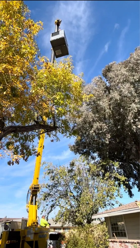 Trusted HVAC installation for homes in San Fernando Valley, CA by Air Ranger Heating & Cooling
