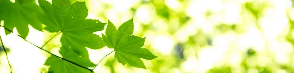 Slide of Air Solutions Heating & Air Conditioning