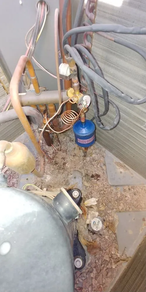 Slide of Air Temperature Professional