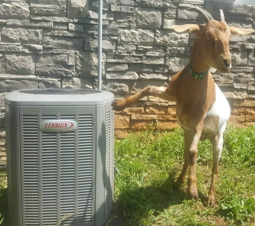 Slide of Air Unlimited