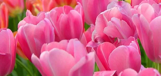 Slide of Air Wise AC and Heat