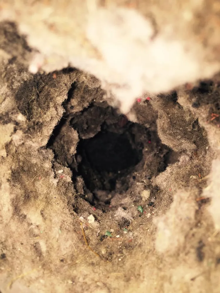 Slide of AirCare Corporation