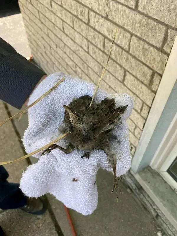 Slide of AirCare solutions