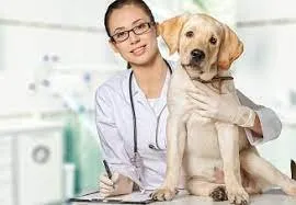 Slide of Airclean 19