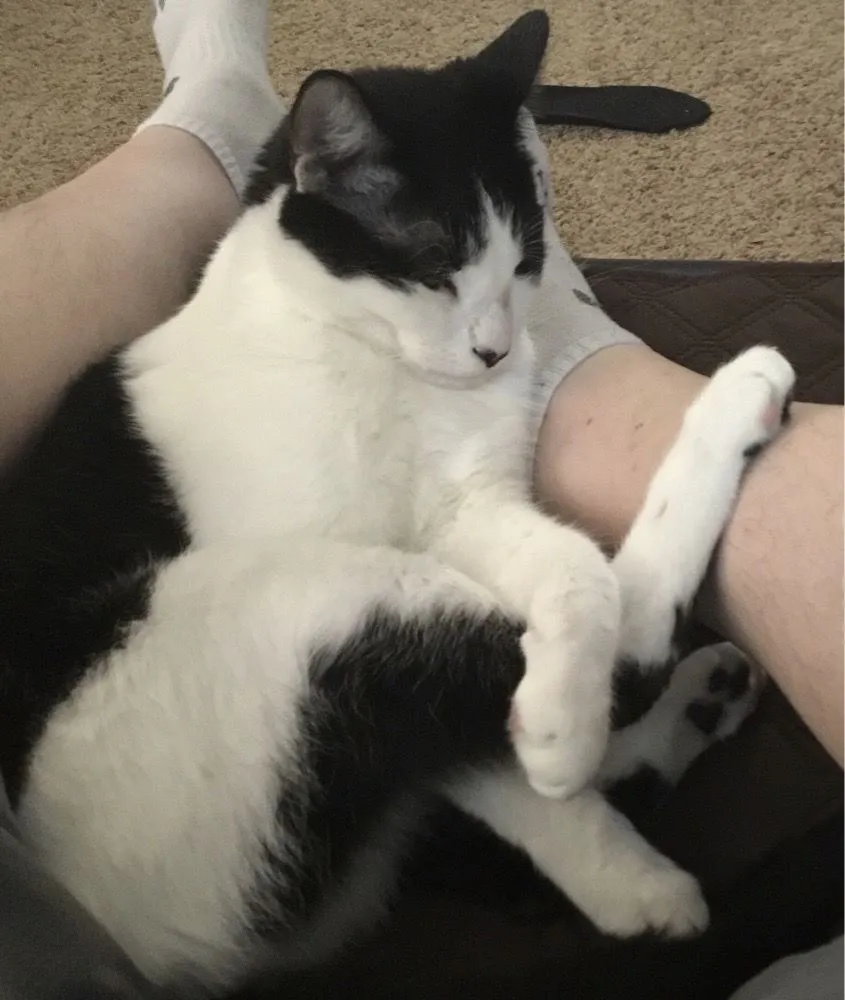 Slide of Airco Service