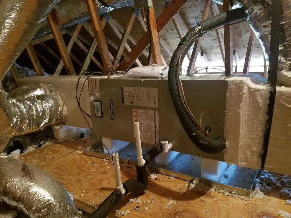 Slide of Aire Rite Diagnostic