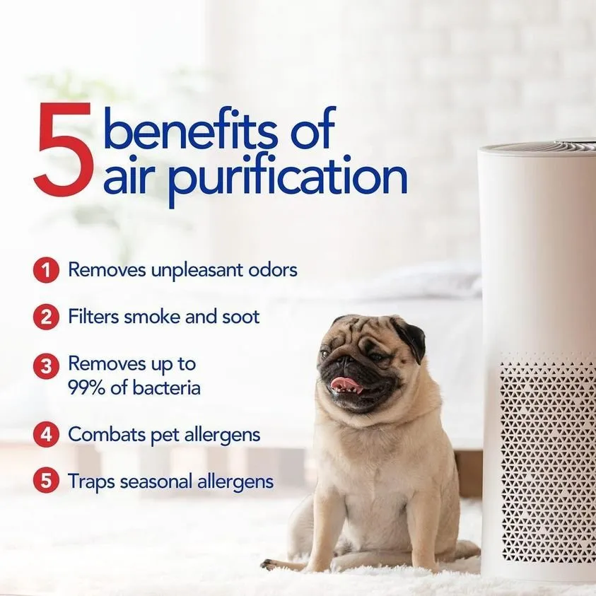 Slide of Aire Serv of North Tampa