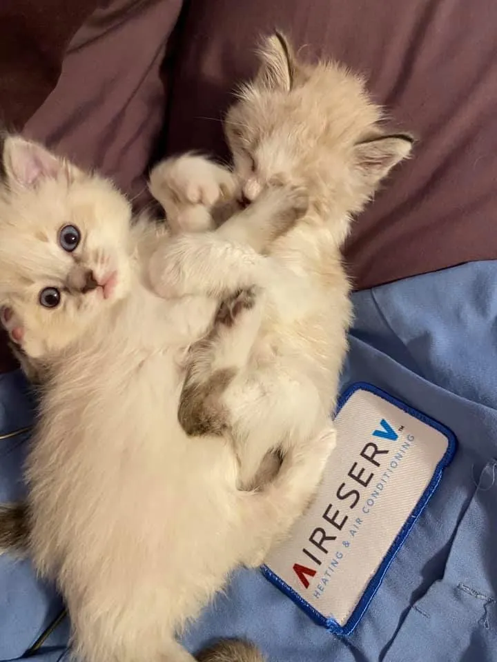 Slide of Aire Serv of Stockton