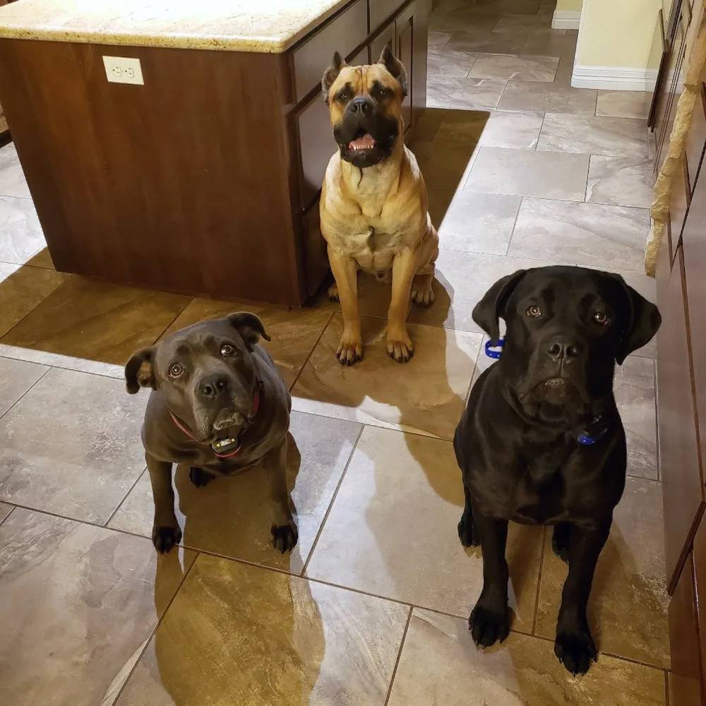 Slide of Aire Serv of The Willamette