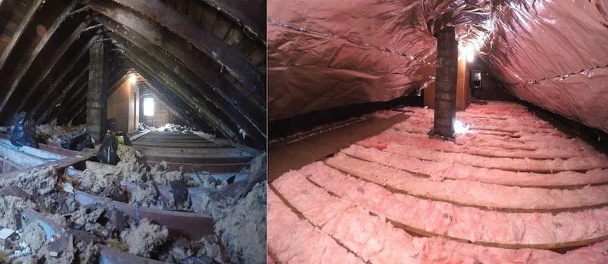 Slide of AirGanic - Edmonds