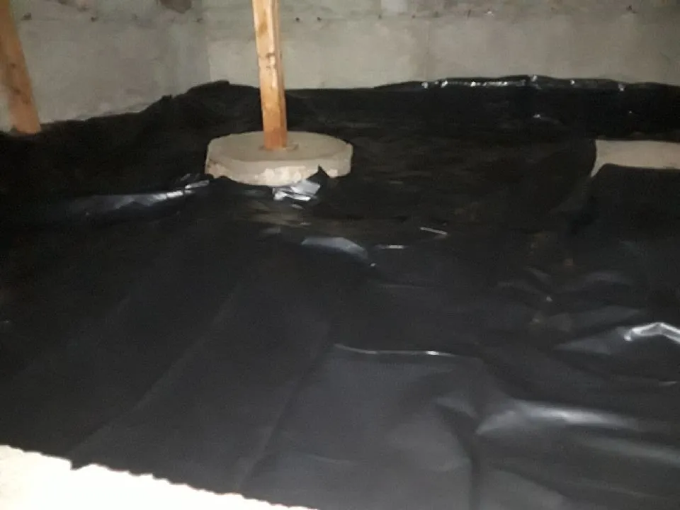 Slide of AirGanic - Edmonds