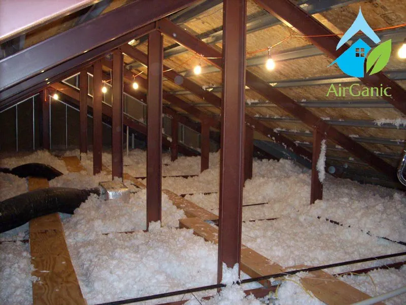 Slide of AirGanic - Edmonds