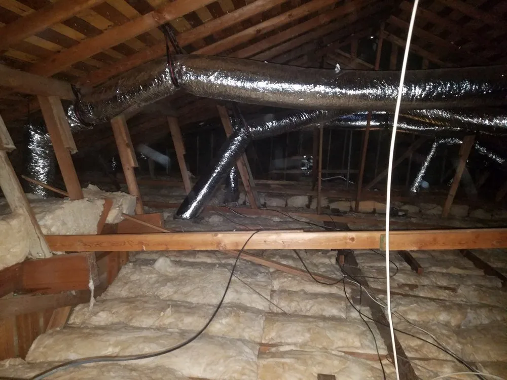 Slide of AirGanic - Edmonds