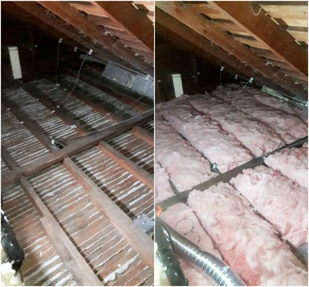 Slide of AirGanic - Edmonds