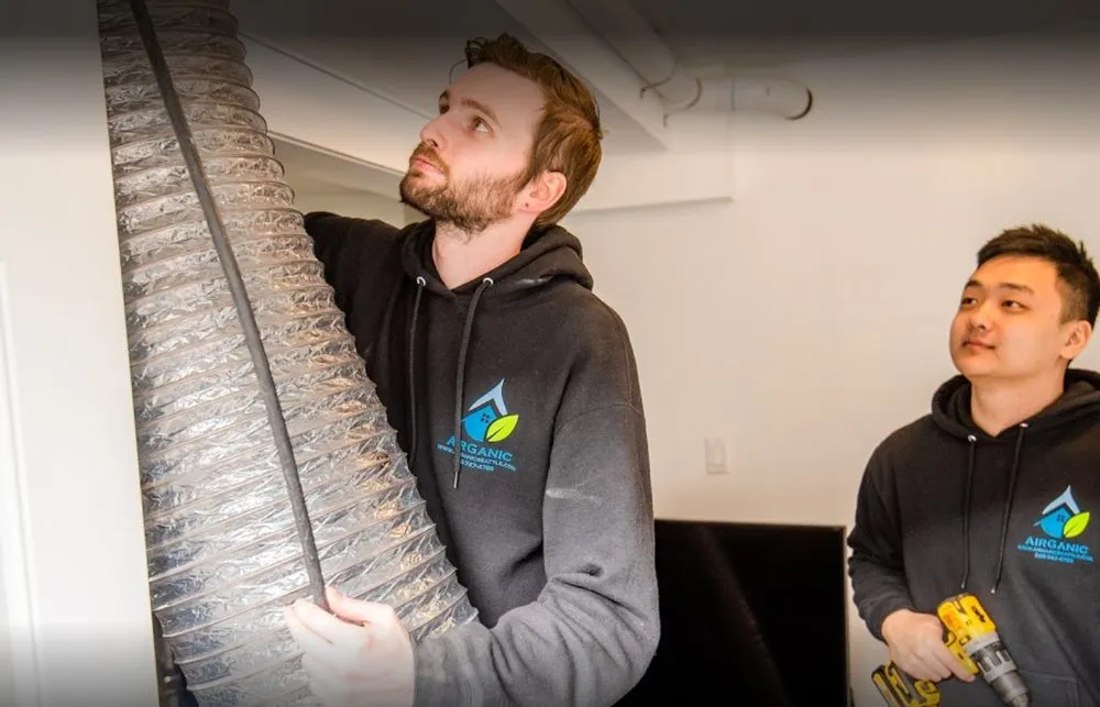 Slide of AirGanic - Edmonds