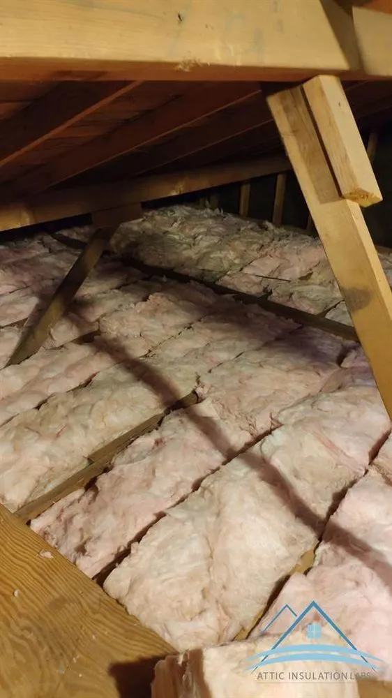 Slide of AirGanic - Edmonds