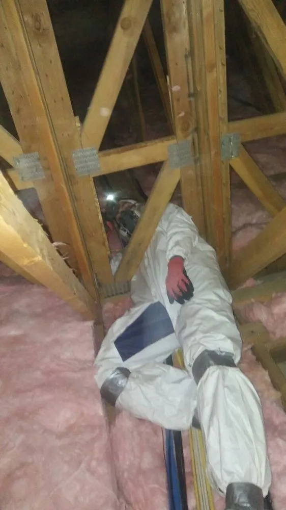 Slide of AirGanic - Edmonds