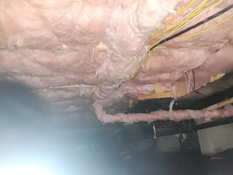 Slide of AirGanic - Edmonds