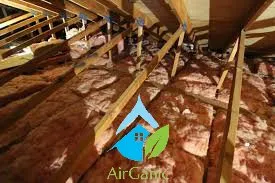 Slide of AirGanic - Edmonds