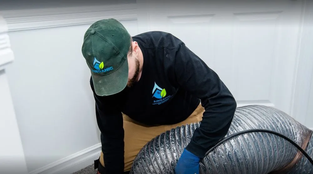 Slide of AirGanic - Edmonds